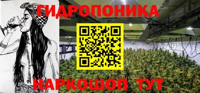 дурь Будённовск